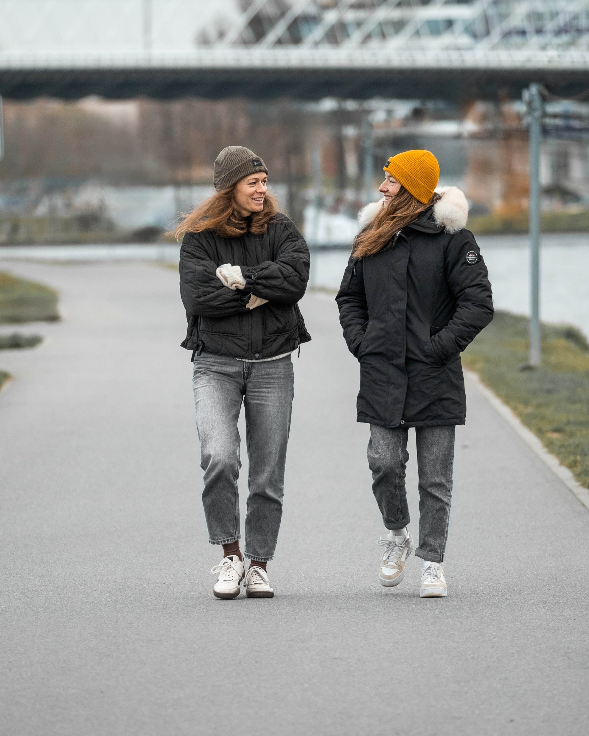 Nuevo sapi - Image 9